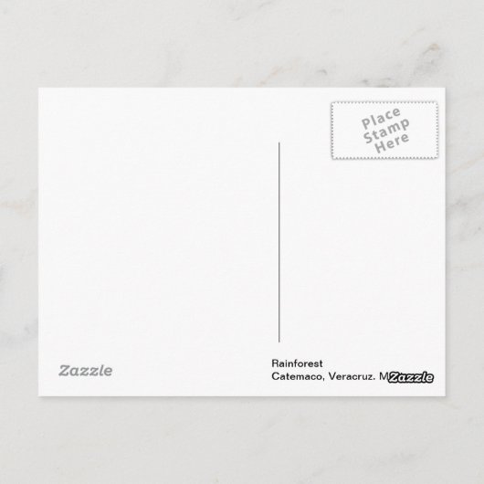 熱帯雨林 ポストカード (裏面)