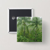 熱帯雨林 缶バッジ (正面&裏面)