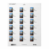 熱帯雨水の泉 ラベル (フルシート)