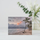 熱帯雨着弾葉書 ポストカード (スタンド正面)