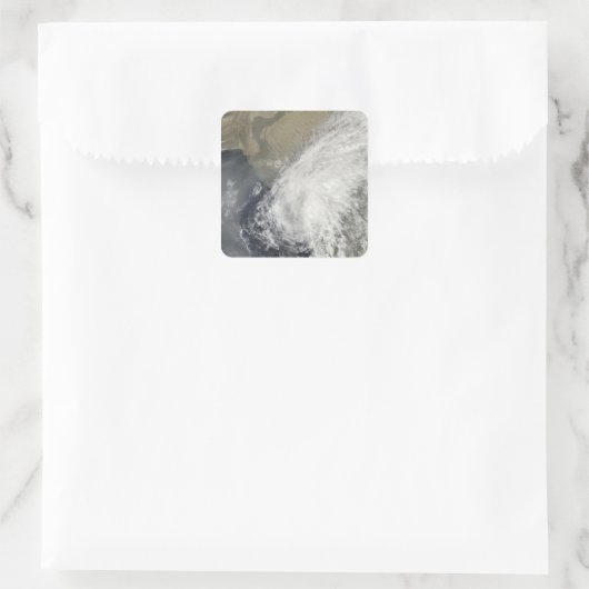 熱帯雨風 スクエアシール (バッグ)