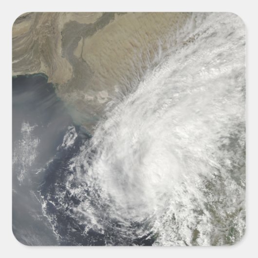 熱帯雨風 スクエアシール (正面)