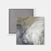 熱帯雨風 マグネット (正面/裏面)