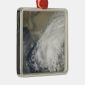 熱帯雨風 メタルオーナメント (右)