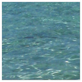 熱帯青い海水2 ファブリック (クローズアップ)