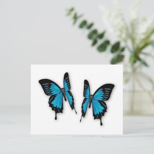 熱帯青蝶のペア ポストカード (スタンド正面)