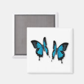 熱帯青蝶のペア マグネット (正面/裏面)