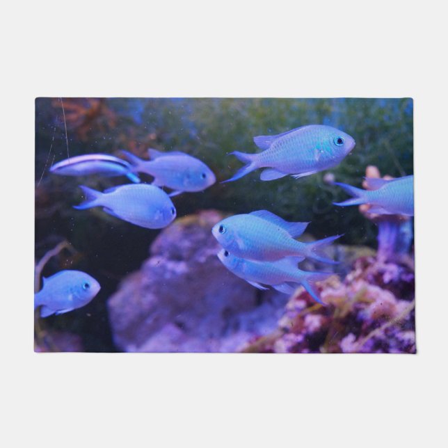 熱帯青魚 ドアマット (正面)