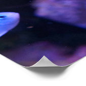 熱帯青魚 ポスター (角)