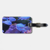 熱帯青魚 ラゲッジタグ (裏面横)