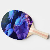 熱帯青魚 卓球ラケット (横)