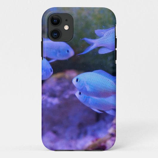 熱帯青魚 Case-Mate iPhoneケース (裏面)
