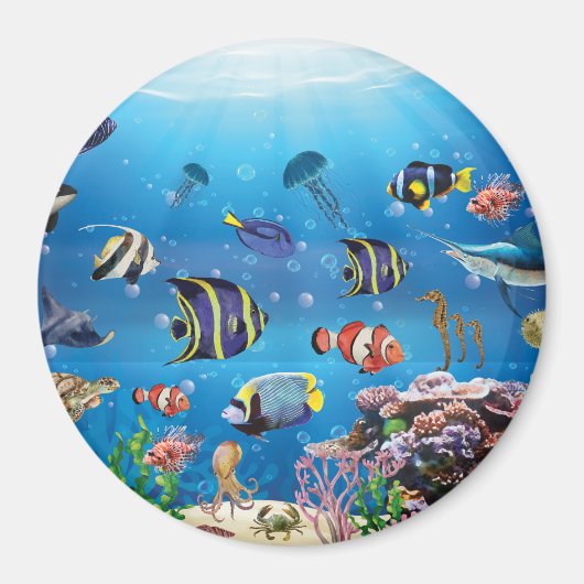 熱帯魚が海底を泳ぐ マグネット (正面)