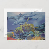 熱帯魚とドルフィンダンス ポストカード (正面/裏面)