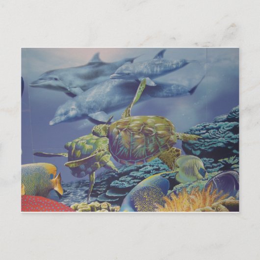 熱帯魚とドルフィンダンス ポストカード (正面)