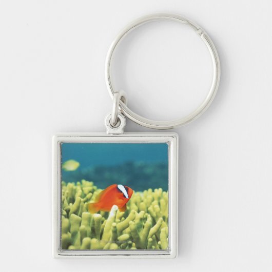 熱帯魚と満ちる珊瑚礁 キーホルダー (正面)