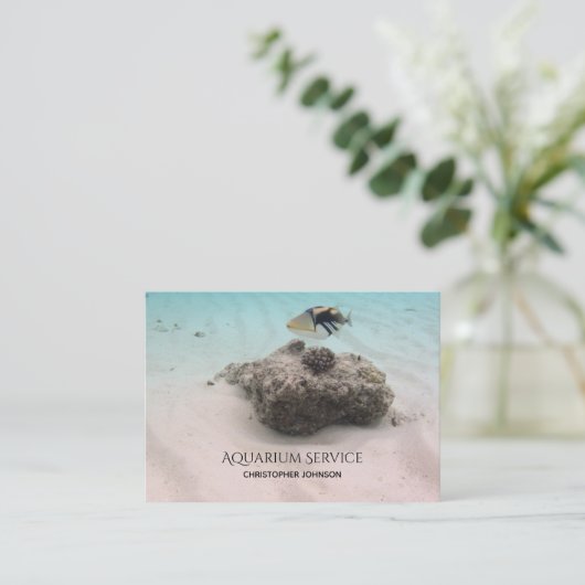 熱帯魚のアクアリウムサービス維持 名刺 (スタンド正面)