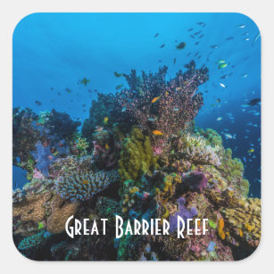 熱帯魚のグレート・バリア・リーフの珊瑚海 スクエアシール