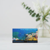 熱帯魚のグレート・バリア・リーフの珊瑚海 名刺 (スタンド正面)