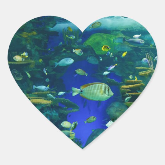 熱帯魚のシール ハートシール (正面)