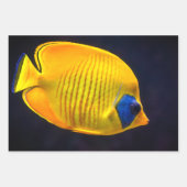 熱帯魚の三枚葉包み紙 ラッピングペーパーシート (正面3)