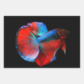 熱帯魚の三枚葉包み紙 ラッピングペーパーシート (正面3)