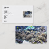 熱帯魚の名刺 名刺 (正面/裏面)