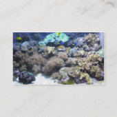 熱帯魚の名刺 名刺 (裏面)