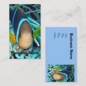 熱帯魚の名刺 名刺 (正面/裏面)