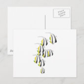 熱帯魚の学校 ポストカード (正面/裏面)