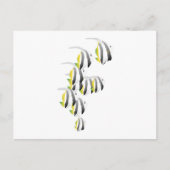 熱帯魚の学校 ポストカード (正面)