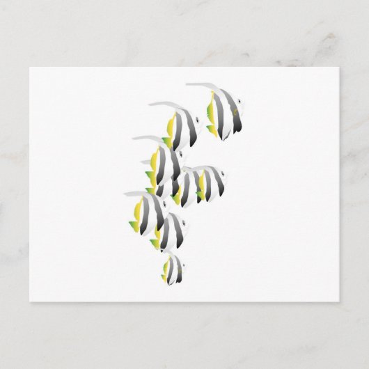 熱帯魚の学校 ポストカード (正面)