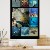 熱帯魚の水中競技生活 ポスター (キッチン)