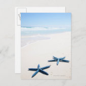 熱帯魚の水辺に青いヒトデが二つ ポストカード (正面/裏面)