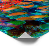 熱帯魚の海底サンゴ礁 ポスター (角)