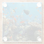 熱帯魚の無秩序 ガラスコースター (裏面)