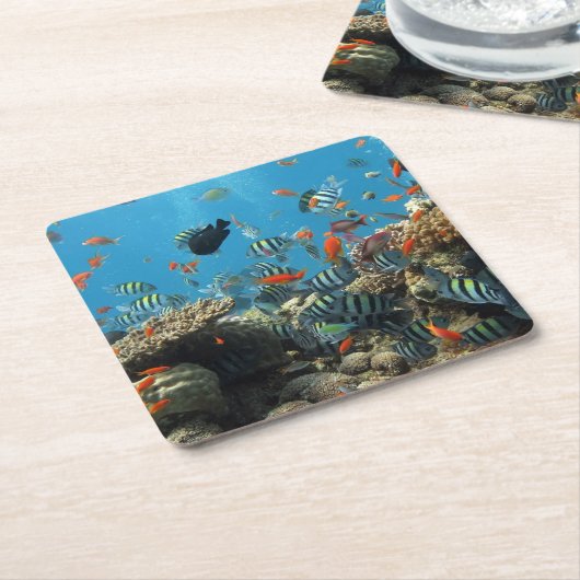 熱帯魚の無秩序 スクエアペーパーコースター (アングル)