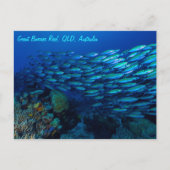 熱帯魚の素晴らしバリアリーフコーラルシー ポストカード (正面)