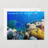 熱帯魚の素晴らしバリアリーフコーラルシー ポストカード (正面/裏面)