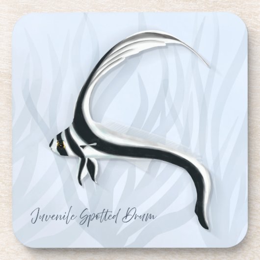 熱帯魚コースター コースター (正面)