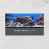熱帯魚スタイリッシュ水槽 名刺 (裏面)