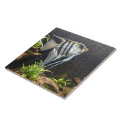 熱帯魚ストライプの用陶板 タイル (側面)