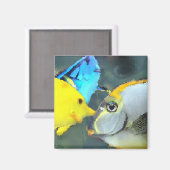 熱帯魚マグネット マグネット (正面/裏面)