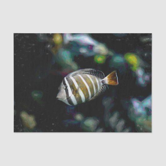 熱帯魚水中水中競技デザイン 薄葉紙 (正面)