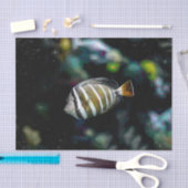 熱帯魚水中水中競技デザイン 薄葉紙 (クラフト)