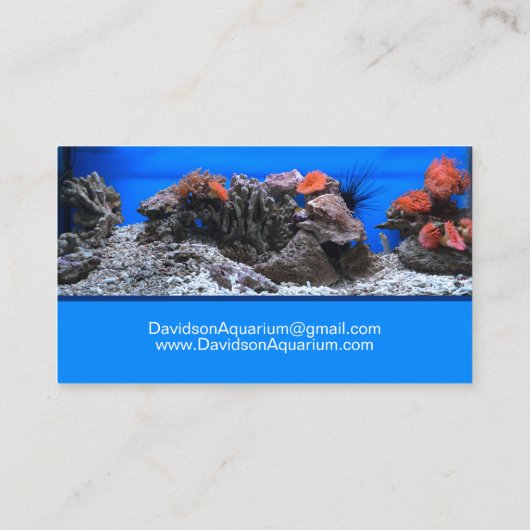 熱帯魚水槽 名刺 (裏面)