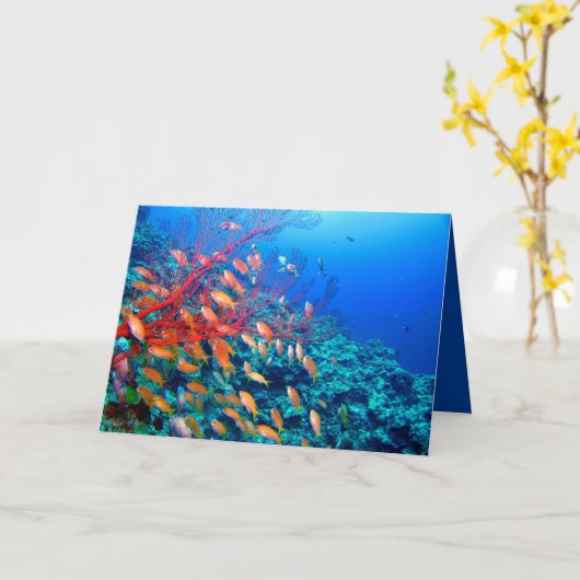熱帯魚海底珊瑚礁 カード (黄色い花)