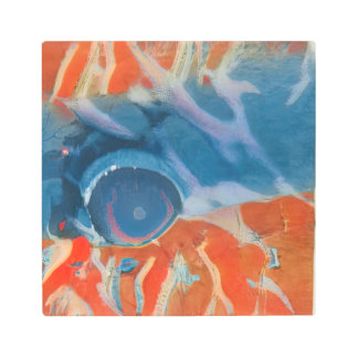 熱帯魚眼 メタルプリント