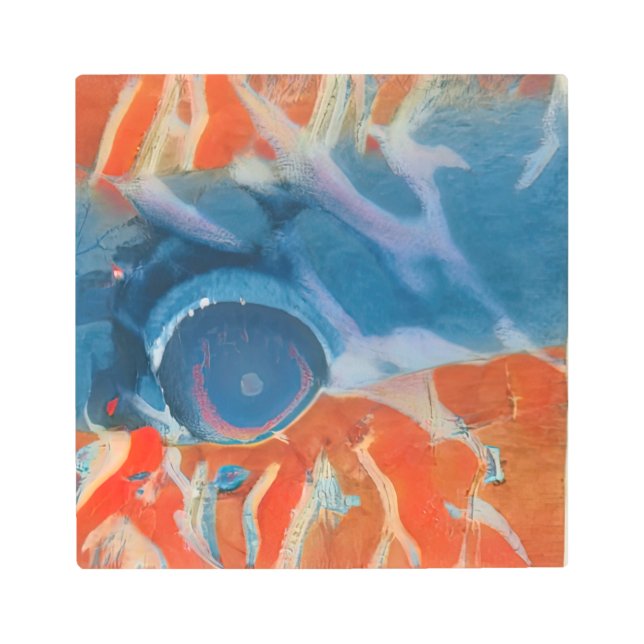 熱帯魚眼 メタルプリント (正面)