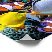 熱帯魚魚釣り ポスター (角)